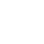 dkv-report